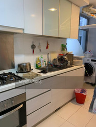 Oasis @ Elias (D18), Condominium #205871561